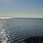 Seepferd * Friedrichskoog