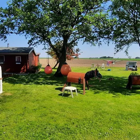 Seepferd * Friedrichskoog
