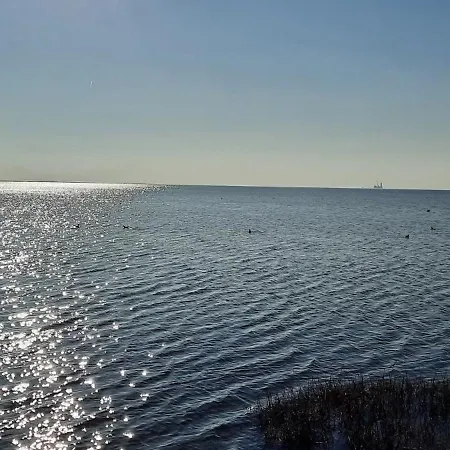 Seepferd * Friedrichskoog