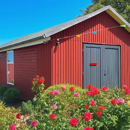 Seepferd Friedrichskoog