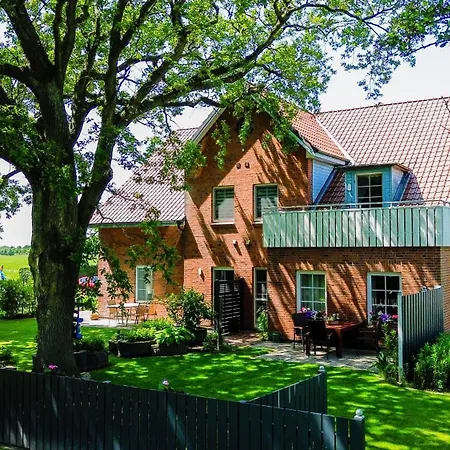 Seepferd * Friedrichskoog